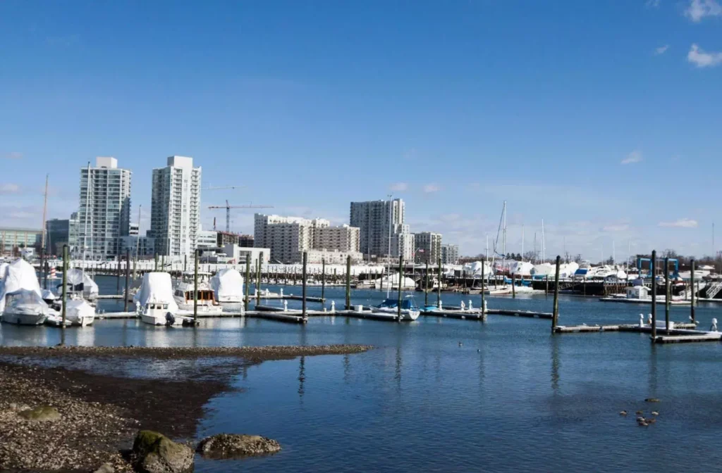 Marina with boats and waterfront high-rise buildings.